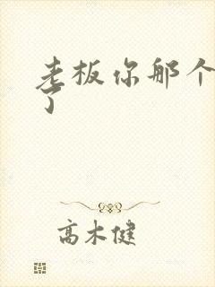 老板你那个太长了