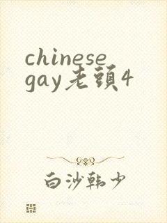 chinesegay老头4