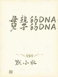 母亲的DNA和儿子的DNA是一样的吗