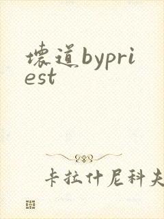 坏道bypriest