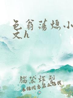 色翁荡熄小说全文h