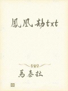 凤凰劫txt