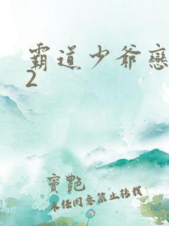 霸道少爷恋上我2