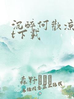 沉醉何欢凉txt下载