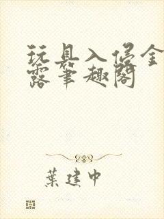 玩具入侵金银花露笔趣阁