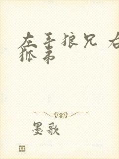 左手狼兄 右手狐弟