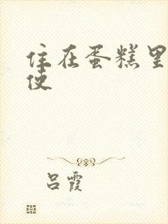 住在蛋糕里的天使