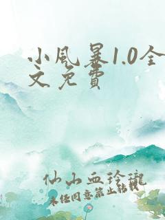 小风暴1.0全文免费