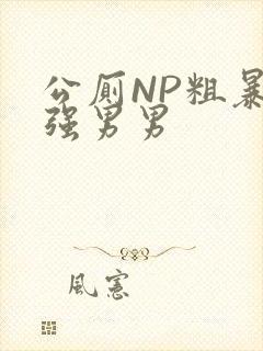 公厕NP粗暴H强男男