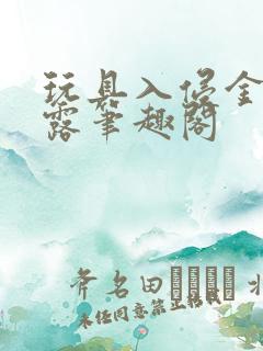 玩具入侵金银花露笔趣阁