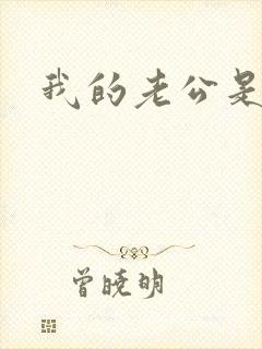 我的老公是军阀