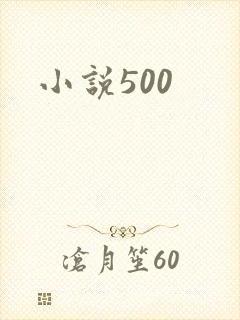 小说500