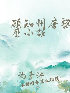 顾知州唐黎叫什么小说