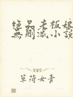 绝品老板娘完整无删减小说