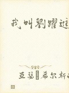 我叫刘跃进下载