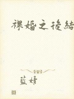 裸婚之后结局