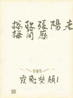 总政张阳老婆吕梅简历