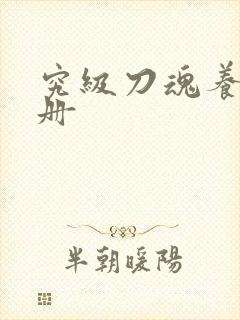 究级刀魂养成手册