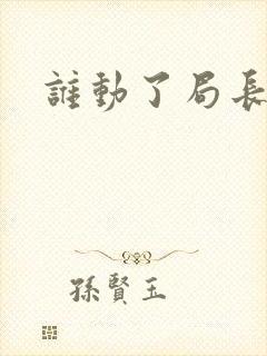 谁动了局长夫人