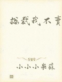 总裁我不卖宝宝