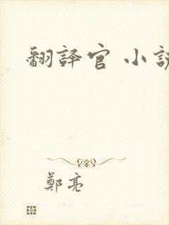 翻译官 小说