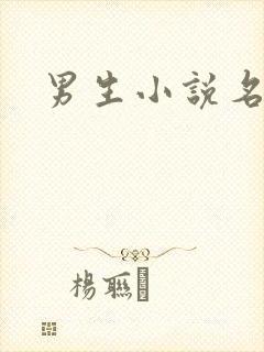 男生小说名字