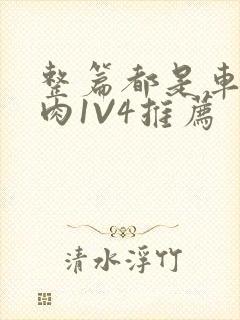 整篇都是车的多肉1V4推荐