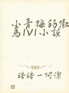 小青梅的傲娇竹马1V1小说