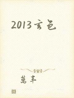 2013玄色