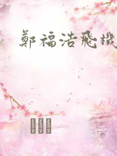 郑福浩飞机坠海