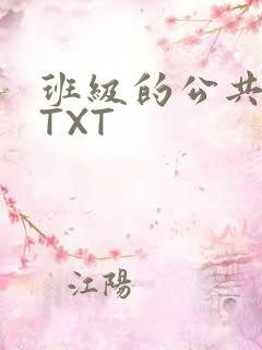 班级的公共玩具TXT