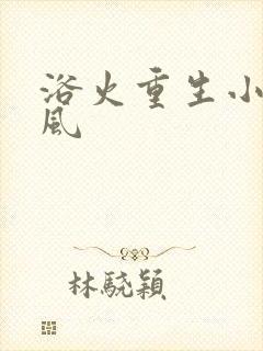 浴火重生小说陈风