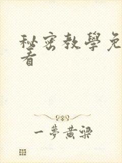 秘密教学免费观看