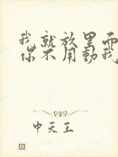 我就放里面不动你不用动我动