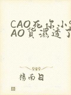 CAO死你小SAO货湿透了学长