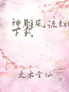 神雕风流txt下载
