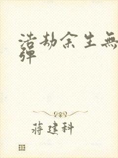 浩劫余生无限子弹