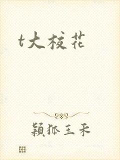 t大校花