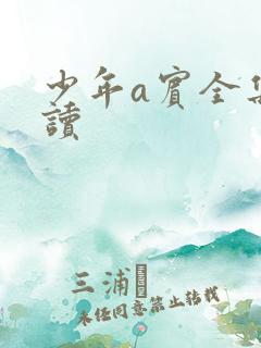 少年a宾全集阅读
