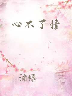 心不了情