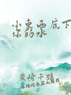 小东西底下都是你的水