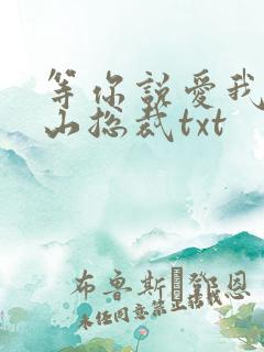 等你说爱我之冰山总裁txt