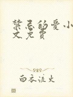 禁忌的爱小说全文免费