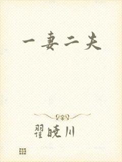 一妻二夫