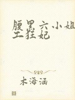 腹黑六小姐 特工狂妃