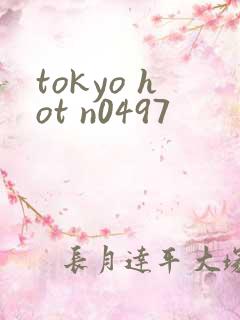 tokyo hot n0497