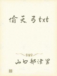 偷天弓txt