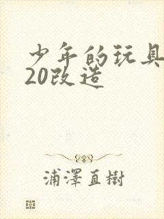 少年的玩具1一20改造