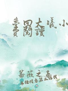 梦回大曦小说免费阅读