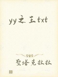 yy之王txt